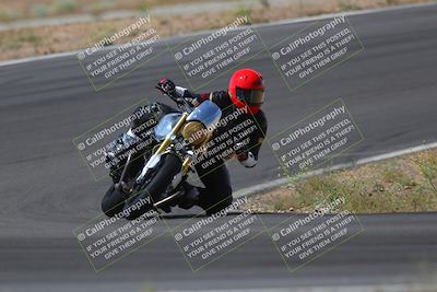 media/May-09-2022-Moto Forza (Mon) [[0226cf3505]]/Group B/B 1020am/